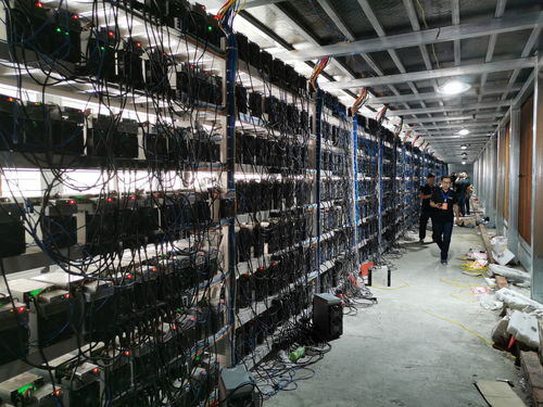 Mining farm layout with equipment