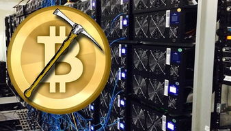 Immersion cooling system inside an Ethereum mining rig
